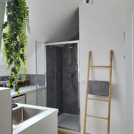 Charmante Maison Idéalement Située Bruxelles