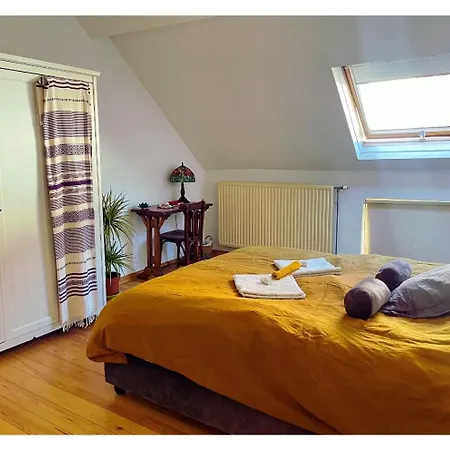 Double Dans Maison Lumineuse Saint Job Uccle