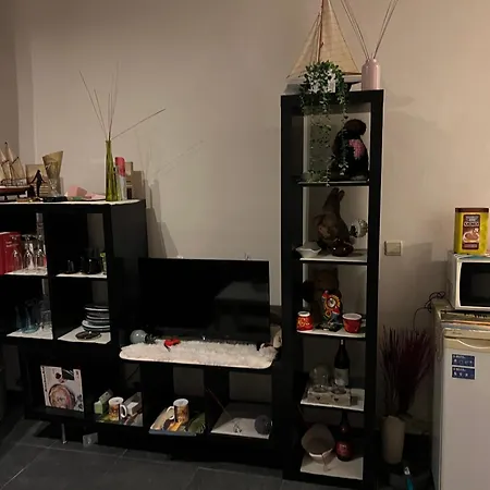 Apartment Lux Ixelles *