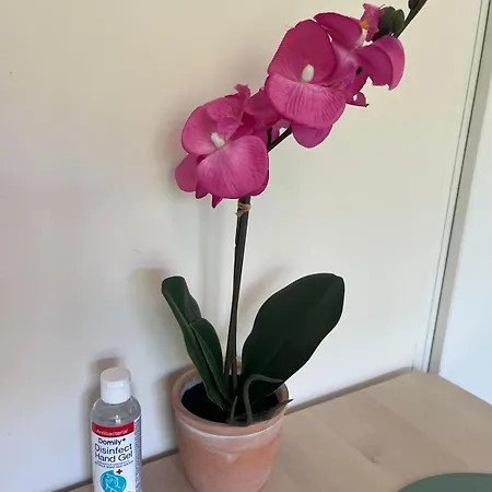 Coeur De Bruxelles, Grand-place Et Mannekenpiss * Brüksel