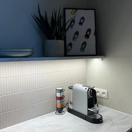 아파트 De Luxe - Terrasse 브뤼셀