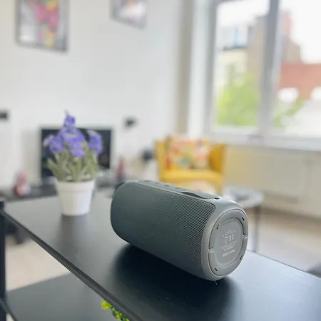 Lejlighed Renove Et Radieux A Bruxelles