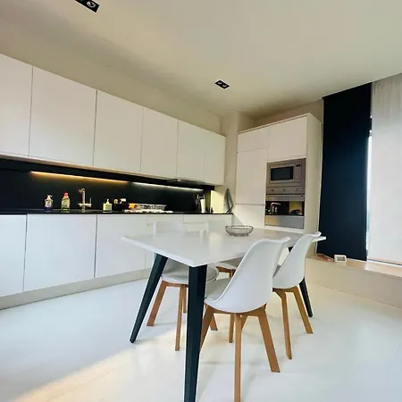 Down Town Penthouse With Private Parking Brussels
