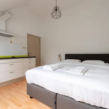 La Louve - Big Place & Garden - Parking Gratuit Villa Brussels