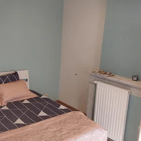 Maison Partagee Cle Rouge Homestay Brussels