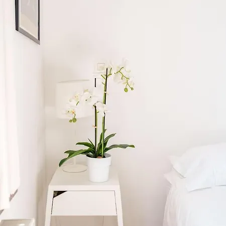 Smart - Gare Du Midi Apartman Brüsszel