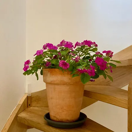Appartamento Mini Palace - Sweet St Catherine - Charming - Perfect For Families Or Business Trip Bruxelles