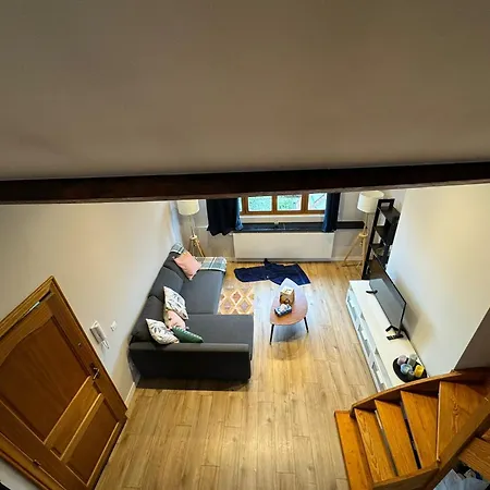 Cozy Flat Ixelles Apartment Brussels