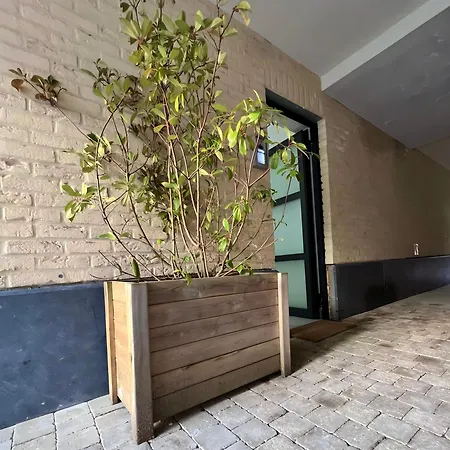 Apartment Midi