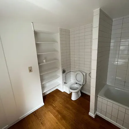 Superbe 1 Chambre, Renove A Ixelles