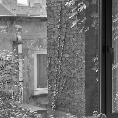 Teddy Picker * Brussels
