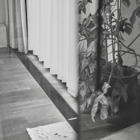 Teddy Picker * Brussels