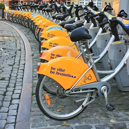 The Brussels-laken *