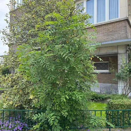 Apartment Ixelles 2 Chambres, 3 Lits Brüssel