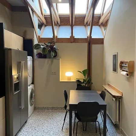 Spacieux Duplex D'architecte Brussels