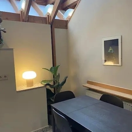 Spacieux Duplex D'architecte Brussels