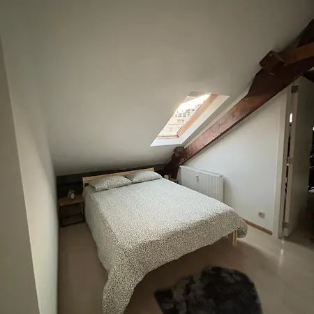Chambre Prive A Louise Homestay Brussels