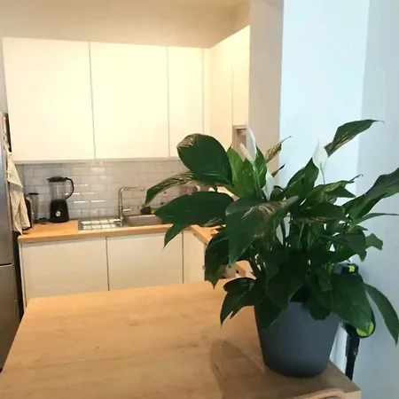 Beautiful 2 Bedroom In Place Flagey Bxl *