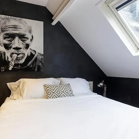 Authentic Belgian Home, Downtown Villa *