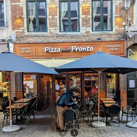 公寓 Lux In Bxl Center 布鲁塞尔