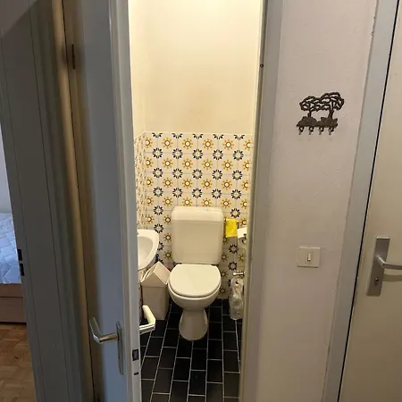 Chouette Apparemment * 브뤼셀