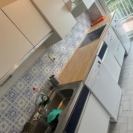 Chouette Apparemment Brussels