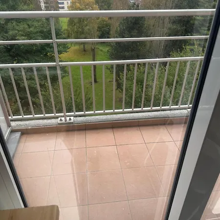 Chouette Apparemment * 브뤼셀