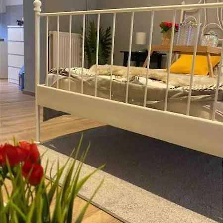 Superbe Full Equipe Avec Cour Exterieur