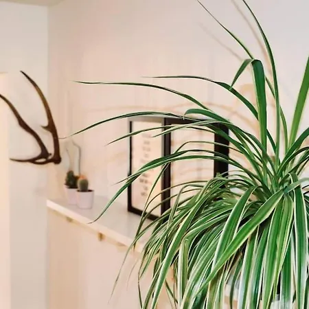 Beautiful In Le Chatelain - Ground Floor Apartman Brüsszel