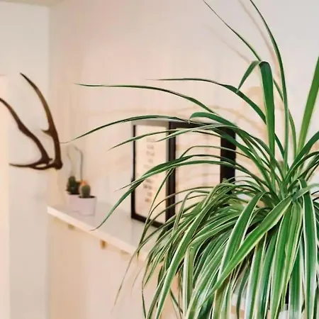 Beautiful In Le Chatelain - Ground Floor Apartman