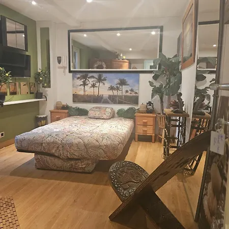 Bed & Breakfast Tropical Brussels