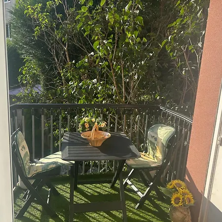 Tropical * Brüsszel