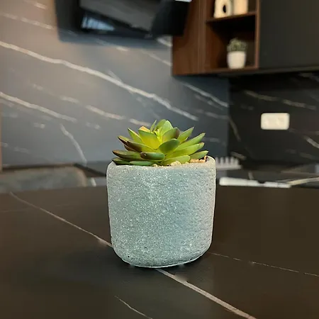 Efekt Confort Апартаменты Брюссель