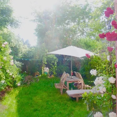 Location Annuelle Superbe Duplex 3ch Jardin Apartman *