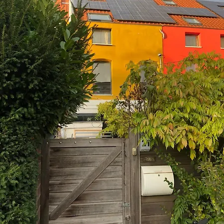 Charming Ocre House In Forest