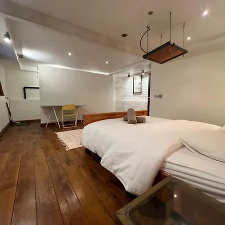 Etonnante Maison Au Style Unique A Bruxelles! Semesterbostad Bryssel