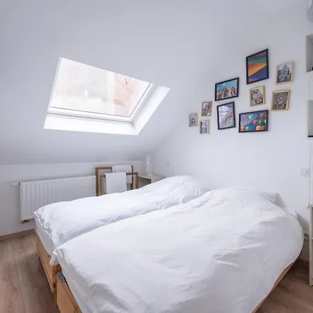 Apartman 6 Bedroom House With Private Bathrooms In Bxl Downtown *