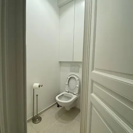 Charming Renovated In Vibrant Saint Gilles, 布鲁塞尔