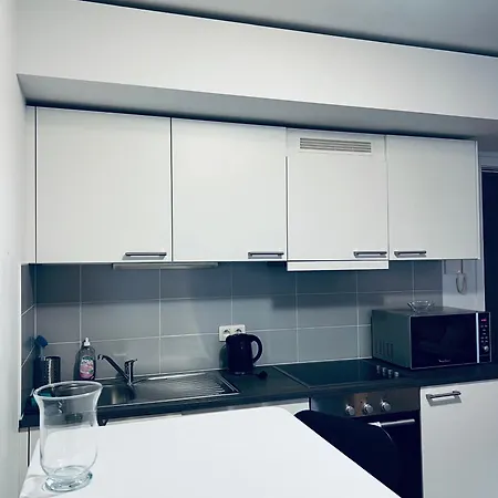 Superbe Logement Quartier Europeen Daire *