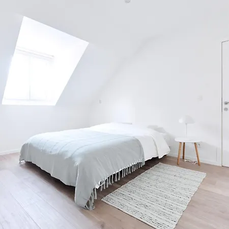 Maison Bruxelloise De 9 *