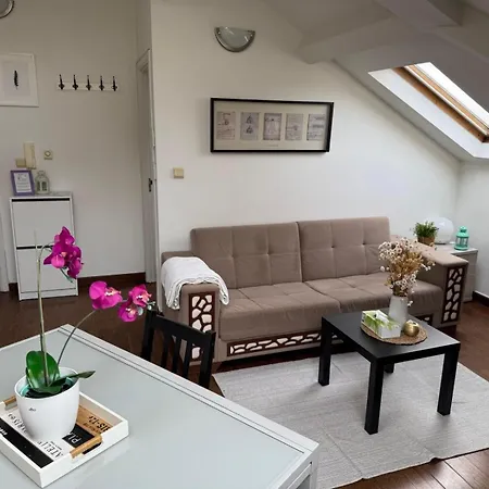 Historical Centre In The Heart Of Brussels