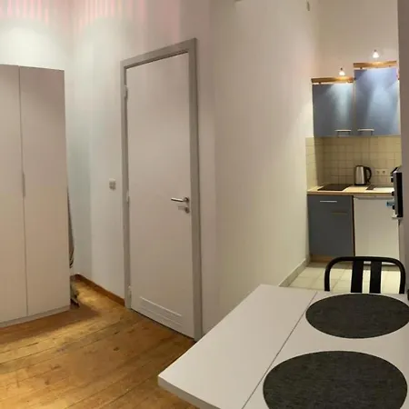Cosy Au Coeur D'ixelles * 布鲁塞尔