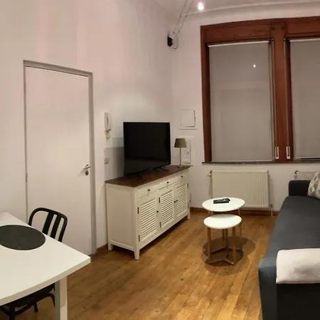 Cosy Au Coeur D'ixelles 公寓 *