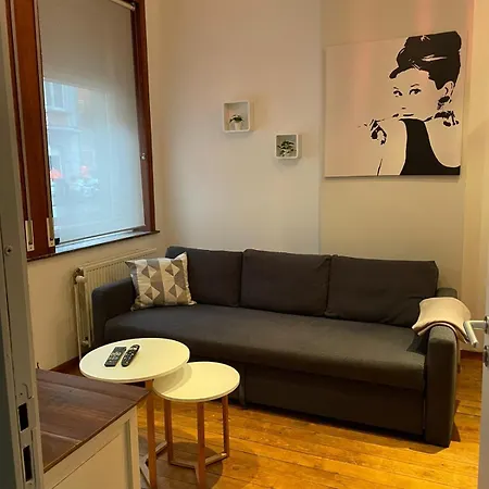 Apartmán Cosy Au Coeur D'ixelles *