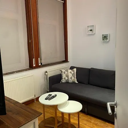 Cosy Au Coeur D'ixelles *