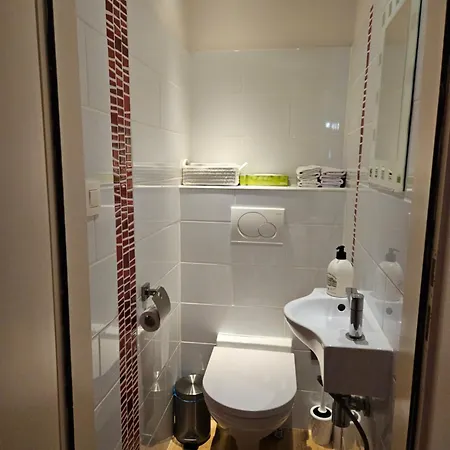 Modern Duplex With Garden *