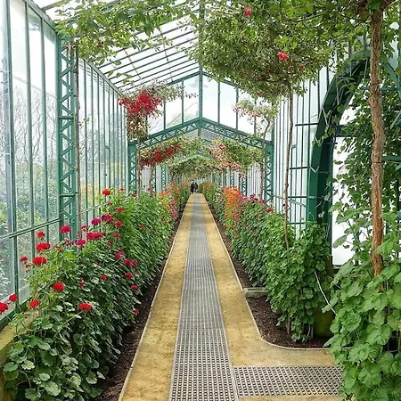 Cozy And Luxurious In Brussels, Laeken Daire