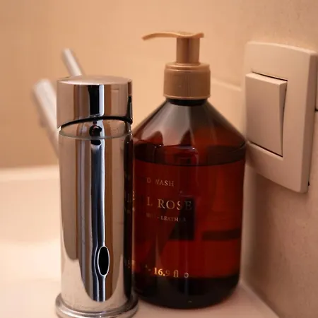 Cozy And Luxurious In Brussels, Laeken Daire Brüksel