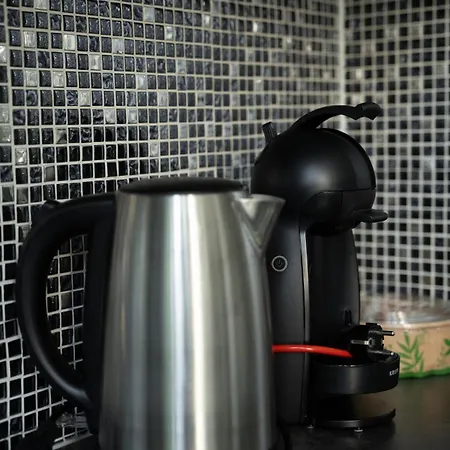 Cozy And Luxurious In Brussels, Laeken *