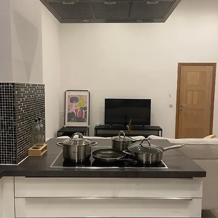 Apartment Cozy And Luxurious In Brussels, Laeken